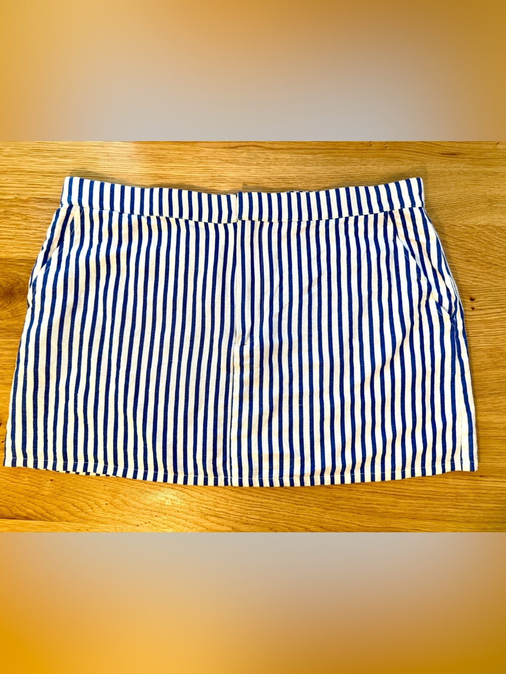 Sophie Rue Blue and White Striped Mini Skirt